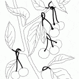 Cerezas salvajes