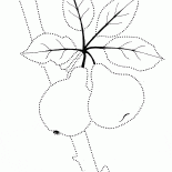 Dulce fruta en el árbol