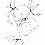 Ciruelos en una rama