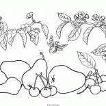 Pera y cereza