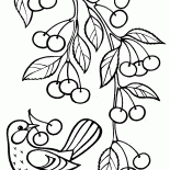 Una rama con las cerezas