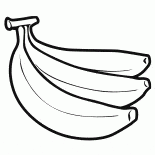 La palma de aceite de fruta