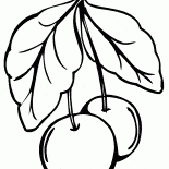 Cereza dulce