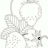 Fresas