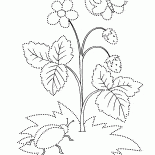 Fresa salvaje