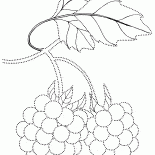 Bayas de artesanía