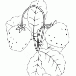 Fresa de jardín