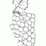 Racimo de uvas