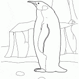 Penguin en el Ártico