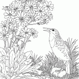 Alondra eurasiática