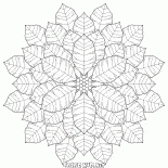 Copo de nieve Insólito