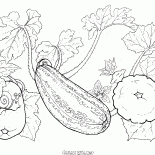Establecer unas pocas verduras