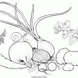 Verduras de la huerta