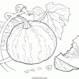 Calabaza en la ciudad