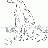 Perro manchado