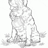 San Bernardo perro