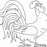 Gallo canta