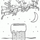 Mata de Santa en la ciudad