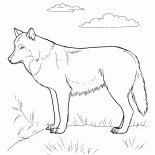 Predator en la búsqueda