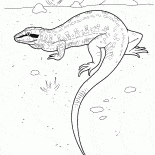 Lagarto en la caza