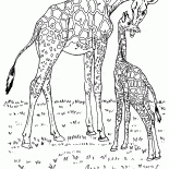 Jirafas en África