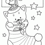 Los sueños se hacen realidad