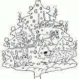 Árbol Insólito
