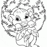Simba y Año Nuevo