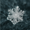 Copos de nieve